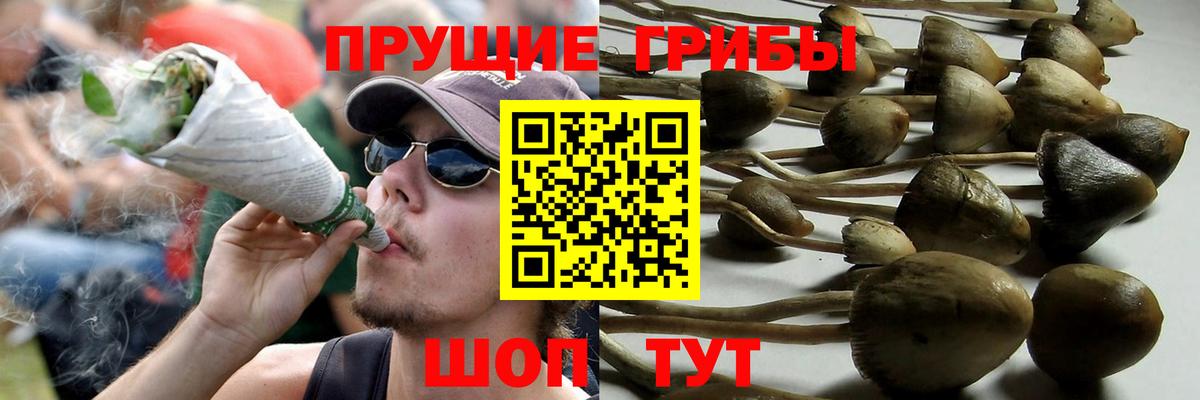 Псилоцибиновые грибы мухоморы  купить закладку  Вход с VPN  Верхняя Салда  Псилоцибиновые грибы GOLDEN TEACHER 