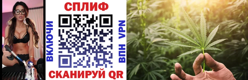 Шишки марихуана план Верхняя Салда